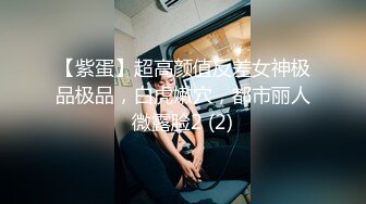 【紫蛋】超高颜值反差女神极品极品，白虎嫩穴，都市丽人微露脸2 (2)