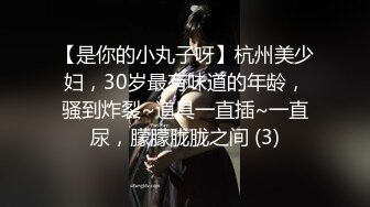 【是你的小丸子呀】杭州美少妇，30岁最有味道的年龄，骚到炸裂~道具一直插~一直尿，朦朦胧胧之间 (3)