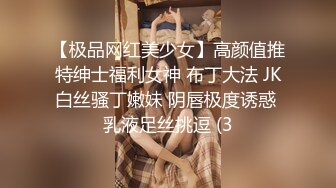 【极品网红美少女】高颜值推特绅士福利女神 布丁大法 JK白丝骚丁嫩妹 阴唇极度诱惑 乳液足丝挑逗 (3