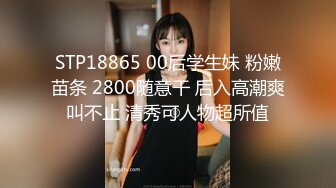 后入母狗爽的叫ba