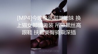 [MP4]今晚极品甜美嫩妹 换上猫女郎情趣装 吊带黑丝高跟鞋 扶着美臀骑乘深插