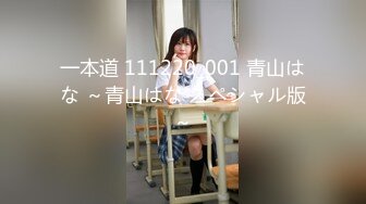 一本道 111220_001 青山はな ～青山はな スペシャル版～