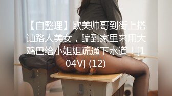 【自整理】欧美帅哥到街上搭讪路人美女，骗到家里来用大鸡巴给小姐姐疏通下水道！[104V] (12)