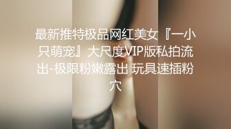 最新推特极品网红美女『一小只萌宠』大尺度VIP版私拍流出-极限粉嫩露出 玩具速插粉穴