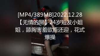 [MP4/389MB]2022.12.28【无情的屌】24岁短发小姐姐，舔胸害羞欲拒还迎，花式爆操