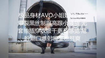 极品身材AVO小姐姐01.22 爆裂黑丝制服高跟小骚货 无套抽插穿衣服干更有感觉 危险期口爆射嘴里也挺爽