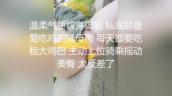 温柔气质纹身御姐 私底却是爱吃鸡的骚母狗 每天都要吃粗大鸡巴 主动上位骑乘摇动美臀 太反差了