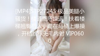 [MP4]STP27245 极品美腿小骚货！楼道厕所操逼！扶着楼梯翘臀后入，跪在马桶上爆操，开档丝袜无毛内射 VIP0600