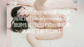 ✨P站20万粉华裔网黄「北京瑶瑶」「Lonelymeow」OF旅游性爱日记 3P百合爆菊潮吹露出【第十二弹】