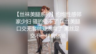 【丝袜美腿系列】约炮性感邻家少妇 骚的受不了 黑丝美腿口交无套做爱太爽了 黑丝足交不一样的体验