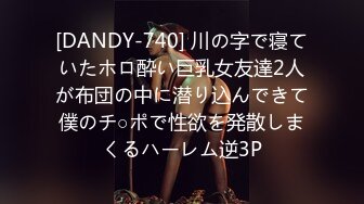 [DANDY-740] 川の字で寝ていたホロ酔い巨乳女友達2人が布団の中に潜り込んできて僕のチ○ポで性欲を発散しまくるハーレム逆3P