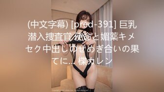 (中文字幕) [pred-391] 巨乳潜入捜査官 使命と媚薬キメセク中出しのせめぎ合いの果てに… 楪カレン