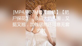 [MP4/407MB]【超清】【肥尸探花】，极品大奶外围，又挺又翘，加钱居然还同意无套内射