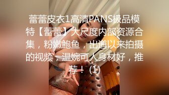 蕾蕾皮衣1高清PANS极品模特【蕾蕾】大尺度内部资源合集，粉嫩鲍鱼，出道以来拍摄的视频，温婉可人身材好，推荐！ (1)