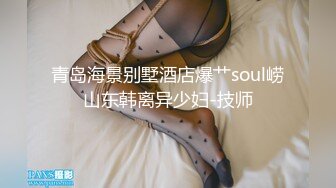 青岛海景别墅酒店爆艹soul崂山东韩离异少妇-技师