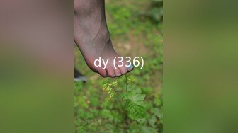 dy (336)