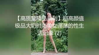 【高质量精品系列】超高颜值极品大奶时尚美女淫荡的性生活记录 (2)