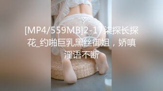 [MP4/559MB]2-17柒探长探花_约啪巨乳黑丝御姐，娇嗔淫语不断