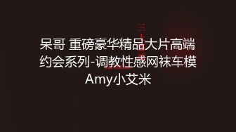 呆哥 重磅豪华精品大片高端约会系列-调教性感网袜车模Amy小艾米